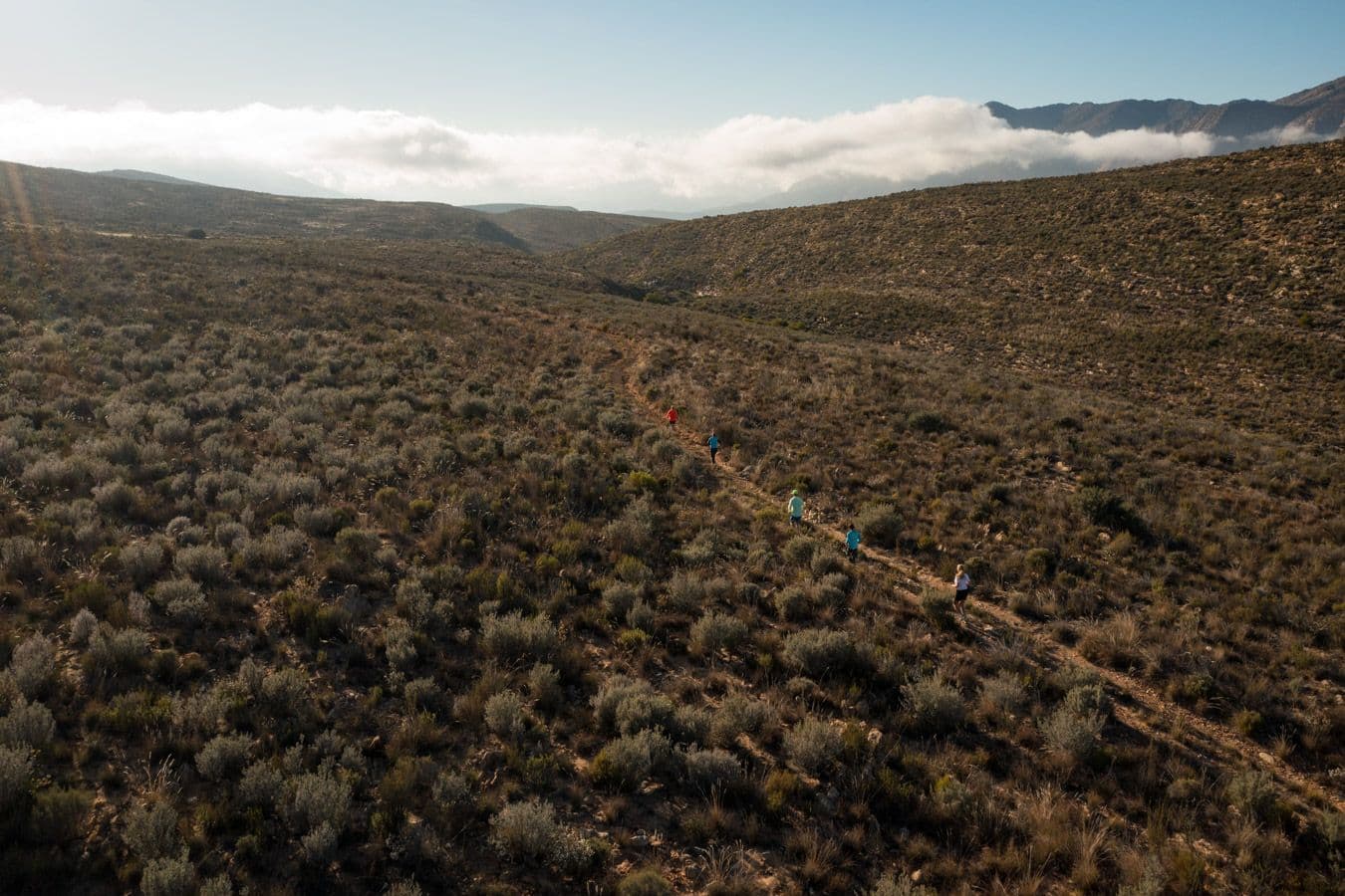 Trail Running Paradise